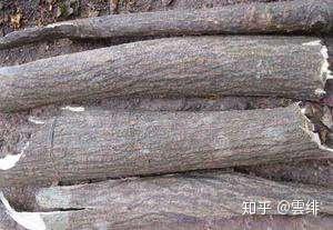 《山海经·南山经》异域奇兽【古今对照】整理——“南山一经”篇(上)