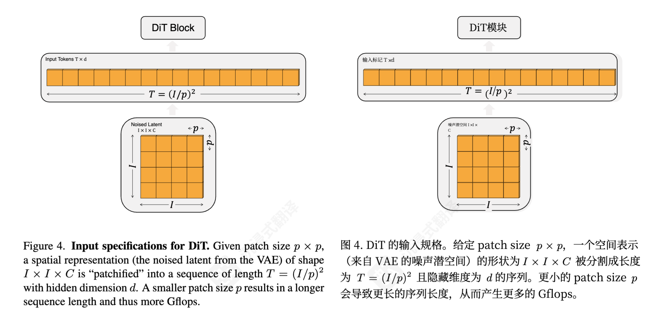 【DiT】结构图 详解 - 知乎