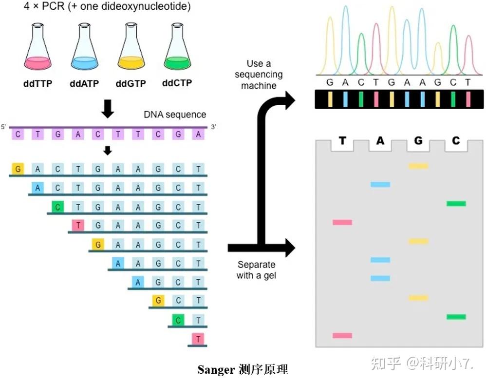 基因组遗传变异研究——SNP检测方法|生信发文利器 - 知乎