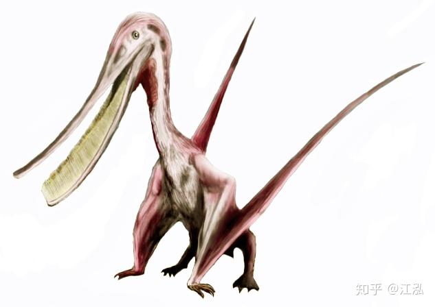 翼龙的多样性丰富吗有没有和猛禽相似专门捕食小恐龙或其它翼龙鸟类的