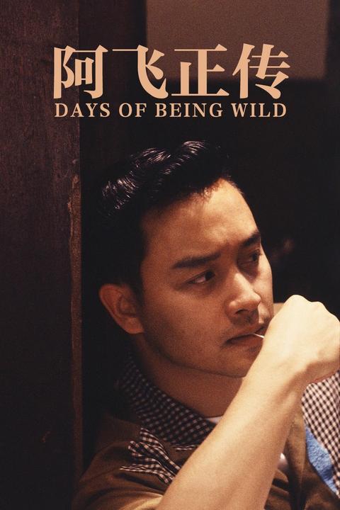 阿飞正传 - 知乎