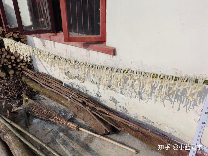 人，可以废物到什么程度？