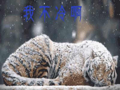 为什么放不出来热水百科在线