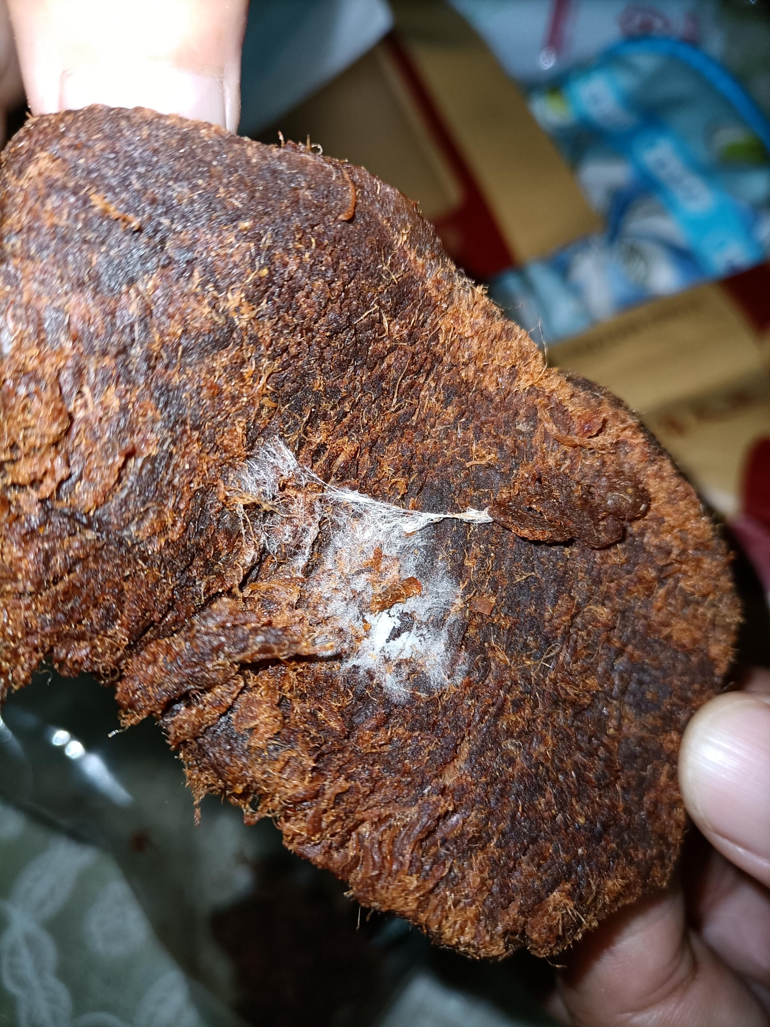 牛肉干,撕开有白毛属于正常现象吗? - 知乎