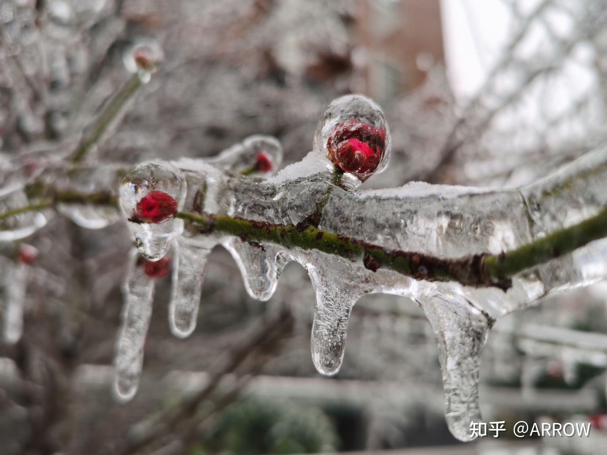 四省下冻雨,为什么就湖北堵成这个样子了?