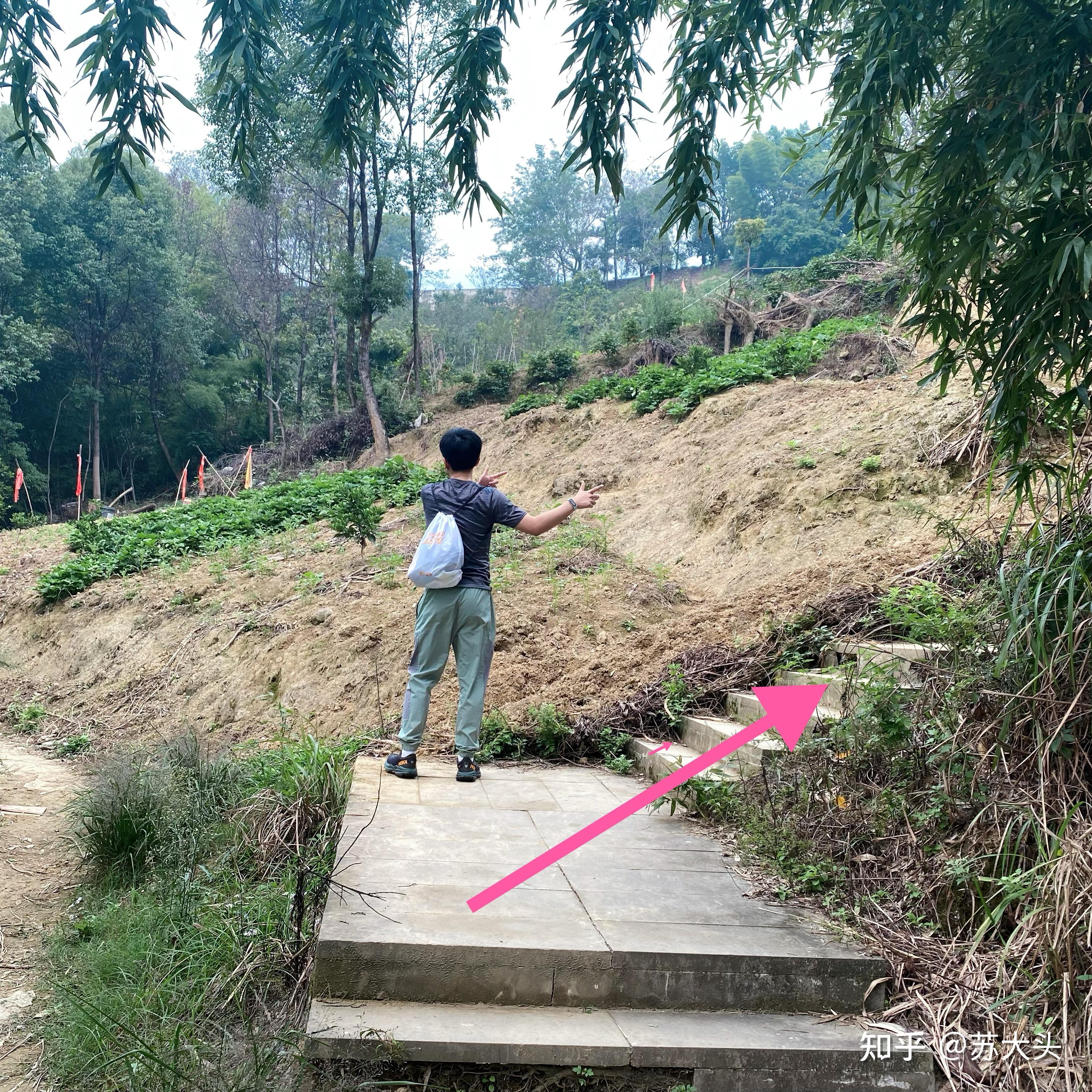 重庆徒步爬山圣地：缙云山免门票上山详细路线指引 - 知乎