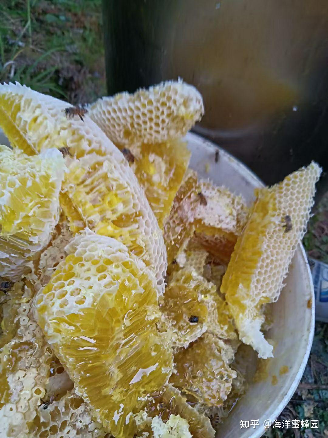 请问血糖高的人能吃蜂蜜吗百度百科的简单介绍 请问血糖高的人能吃蜂蜜吗百度百科的简单介绍