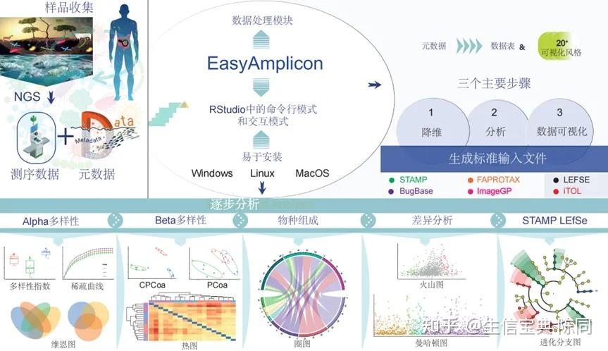 iMetaOmics | 基因组所刘永鑫组-易扩增子(EasyAmplicon)：用户友好的扩增子测序数据分析指南 - 知乎