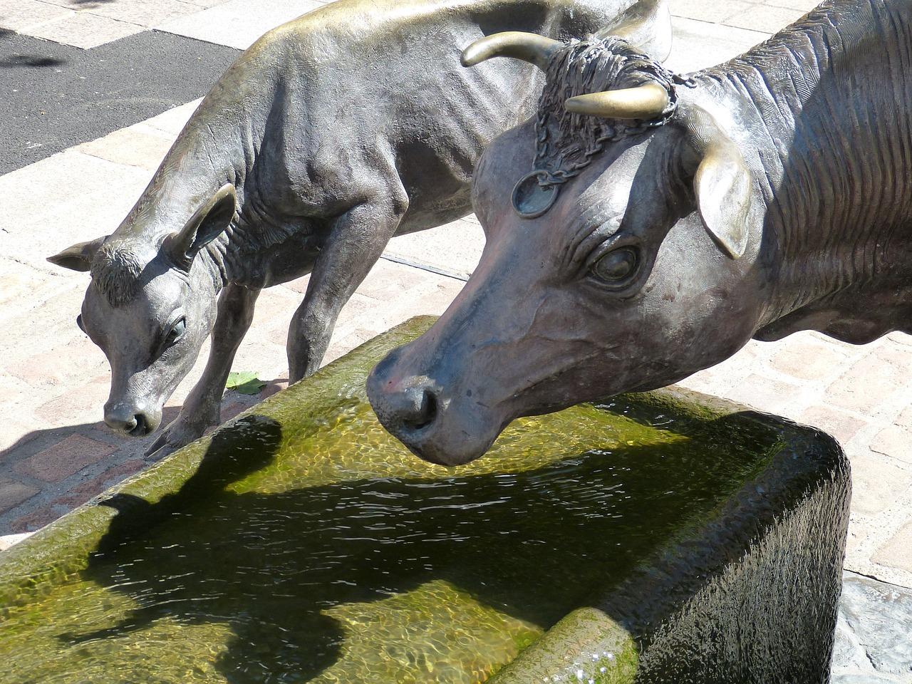 4. 面朝名校周边