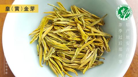 黄金芽茶叶50克价格