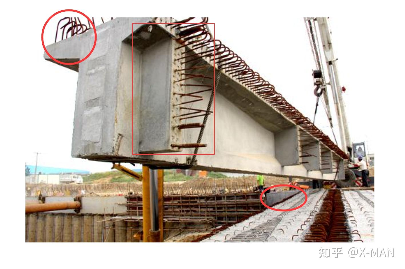 哪位大神知道t形梁横隔梁的中梁和边梁指的是具体哪一块区域啊?