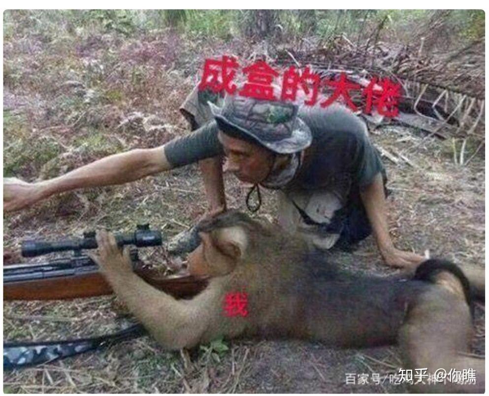 有没有关于和平精英的表情包? - 知乎