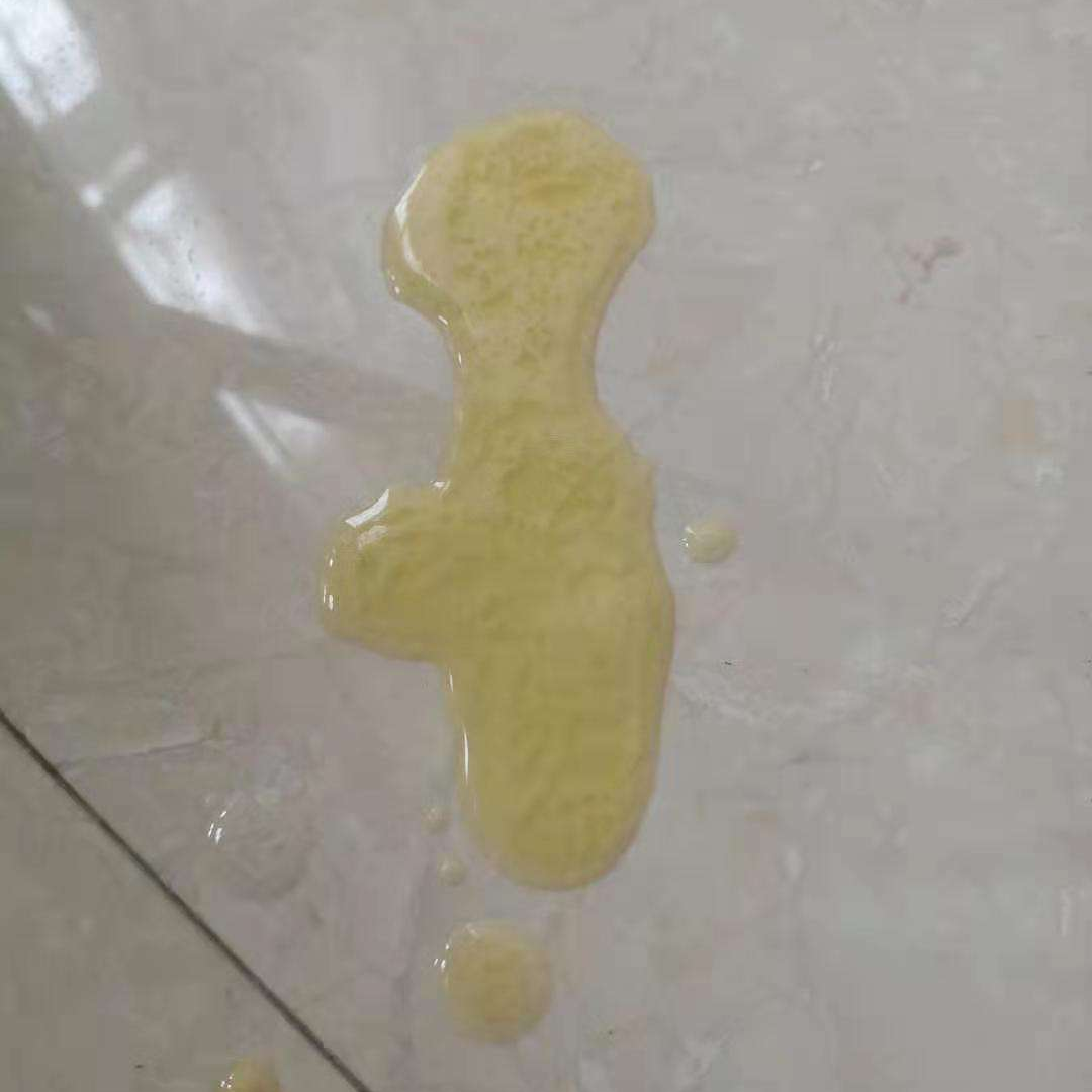 呕~猫咪呕吐是正常现象吗? - 知乎