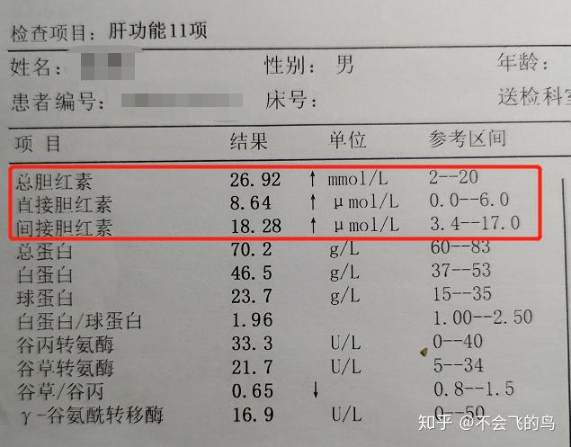 总胆红素和间接胆红素偏高