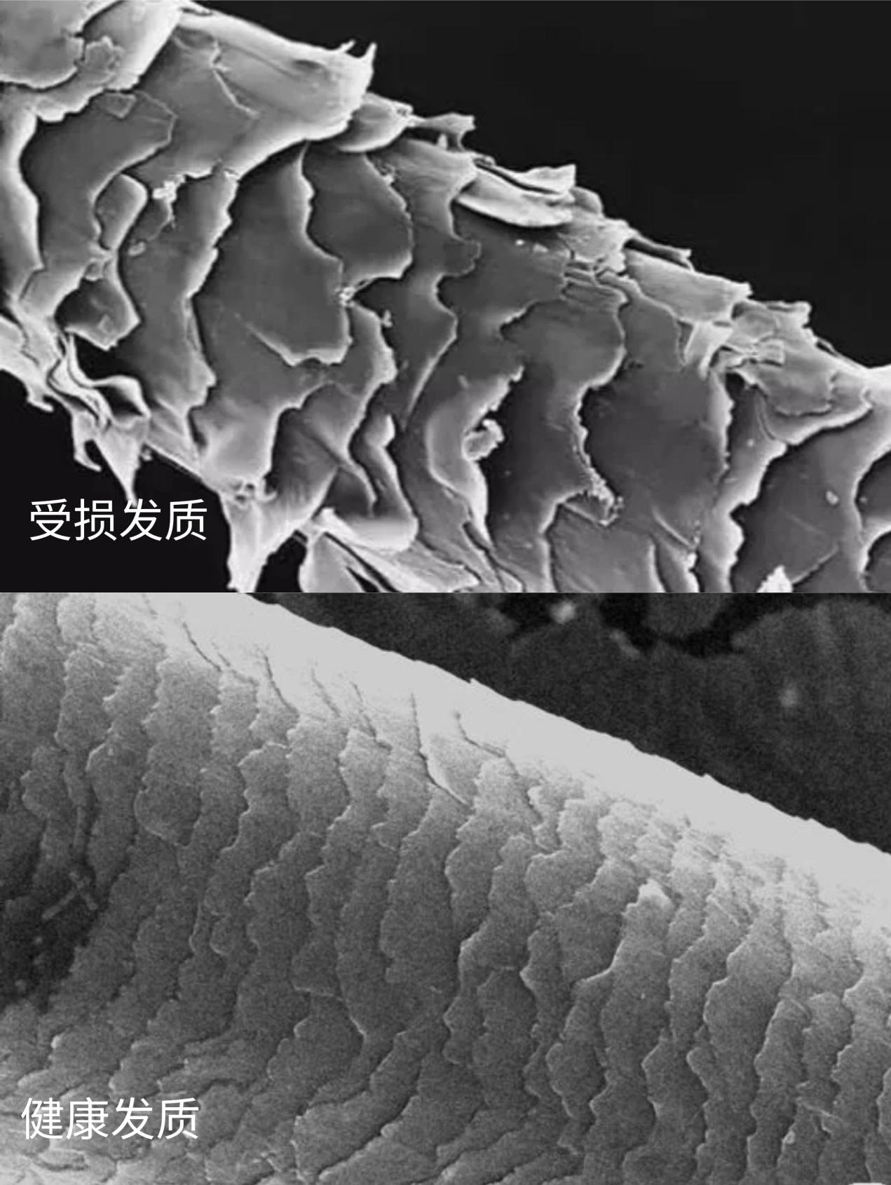 发膜,护发素,精华到底有什么区别? - 知乎