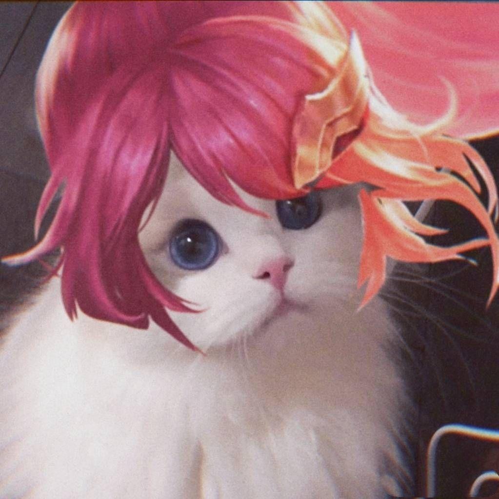 谁有王者荣耀最近非常火的猫咪接头的呀