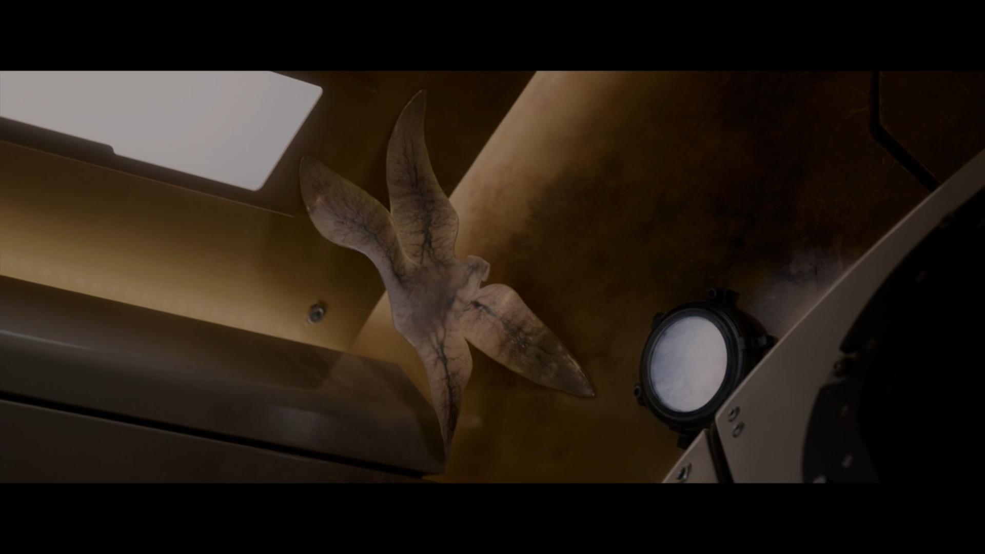 异星觉醒卡尔文这样的生物是可能存在的吗