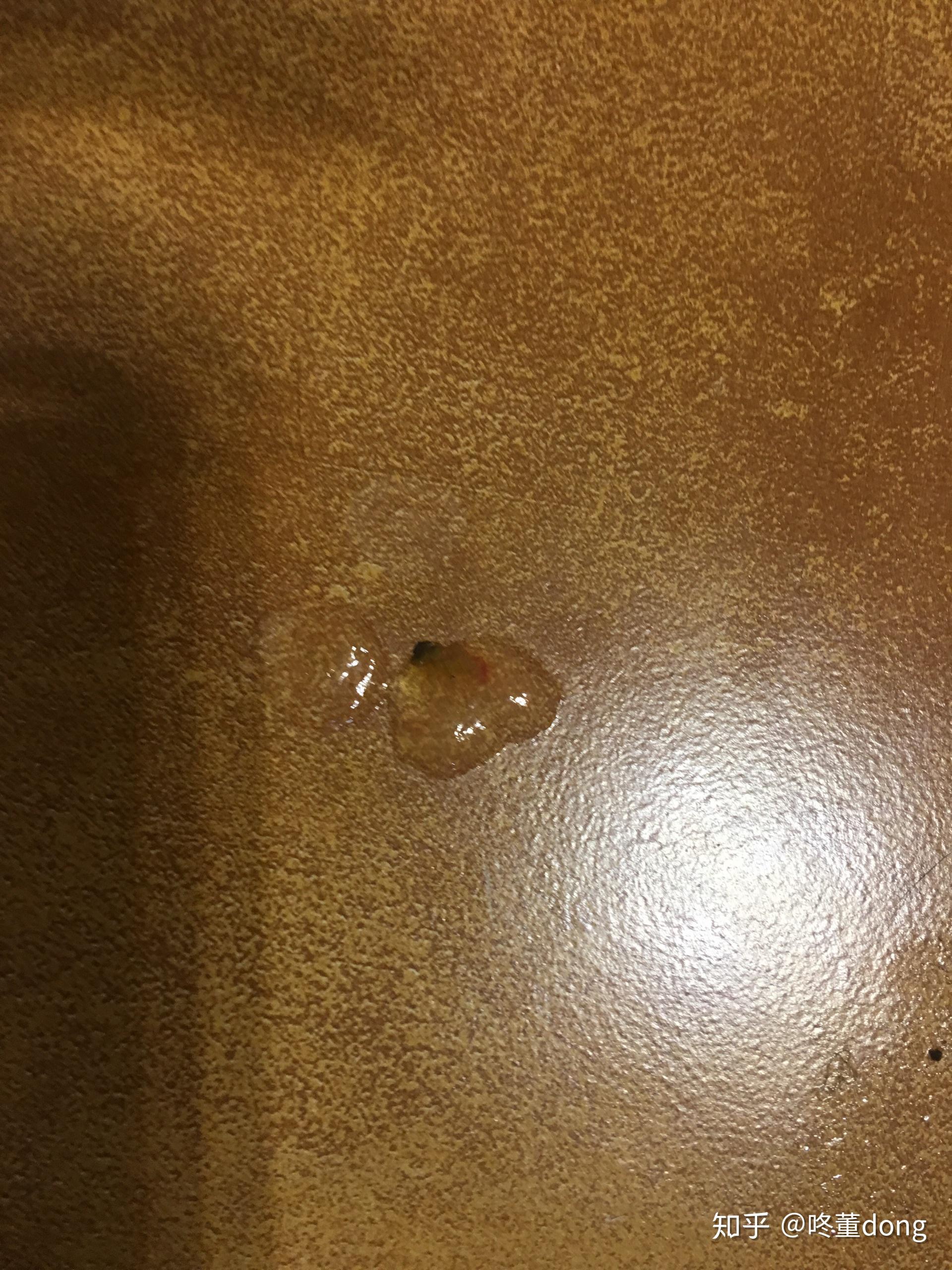 我家拉布拉多三个多月近两天大便不正常求解求解是不是细小啊