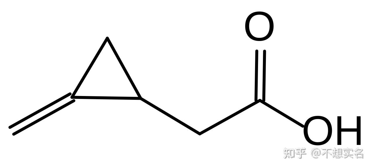 少年贪食荔枝后昏迷,确诊为「荔枝病」引发低血糖,为何荔枝是高糖水果会导致低血糖?其他水果也会这样吗? - 知乎