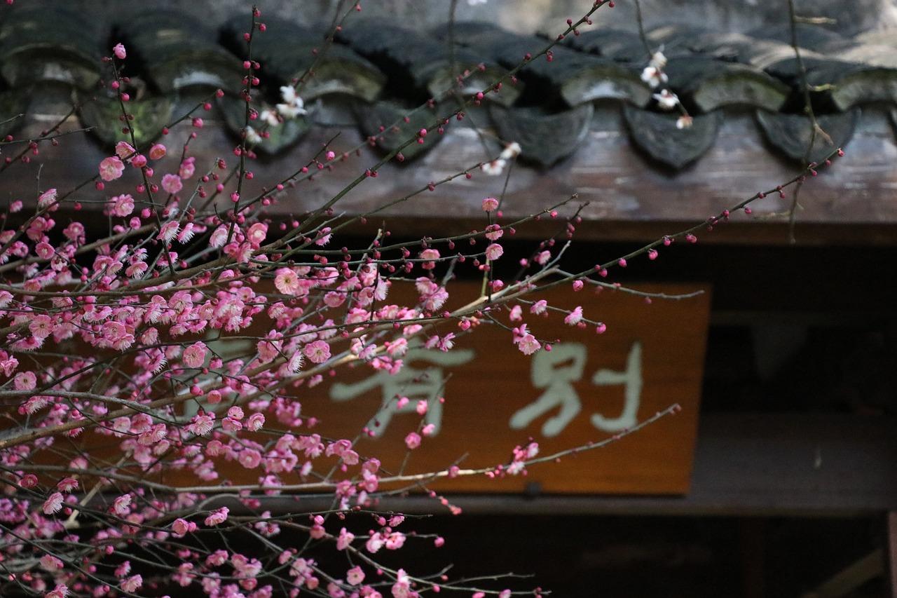 3. 古镇春意盎然