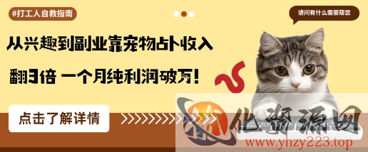 从兴趣到副业靠宠物占卜收入翻3倍一个月纯利润破W