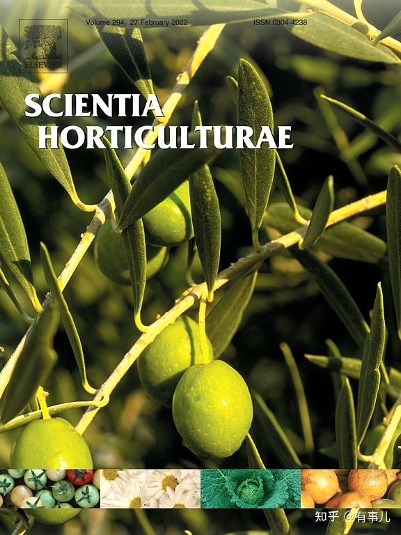 scientiahorticulturae期刊怎么样