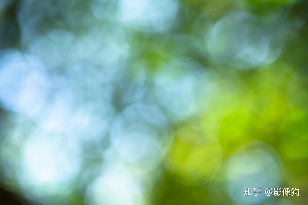 Sigma收購鏡頭