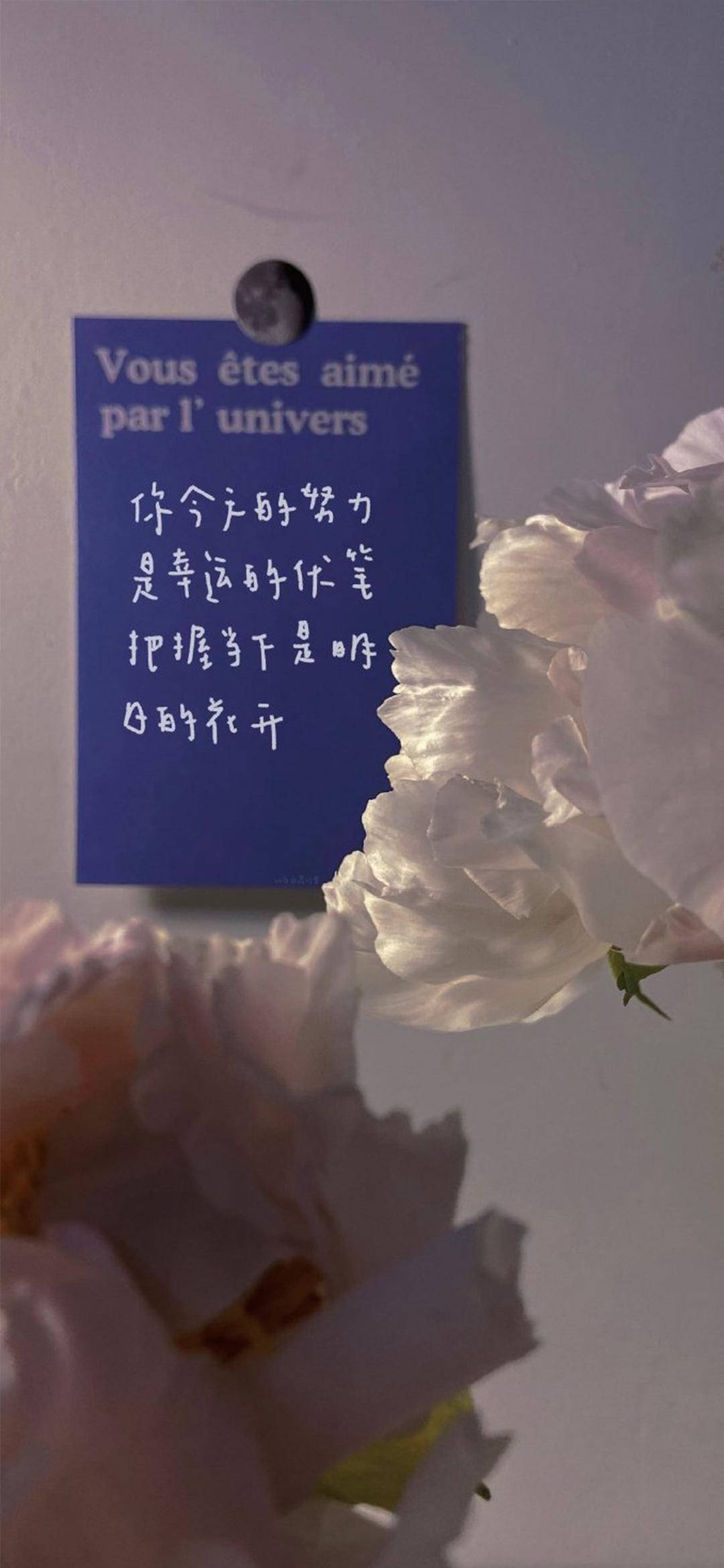 有哪些比较温柔的文案