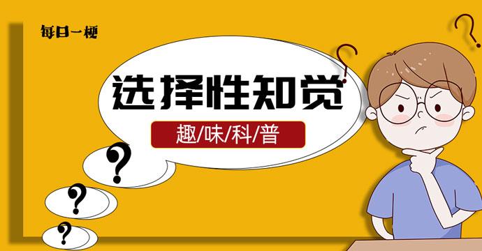 每日一梗你会选择性知觉吗