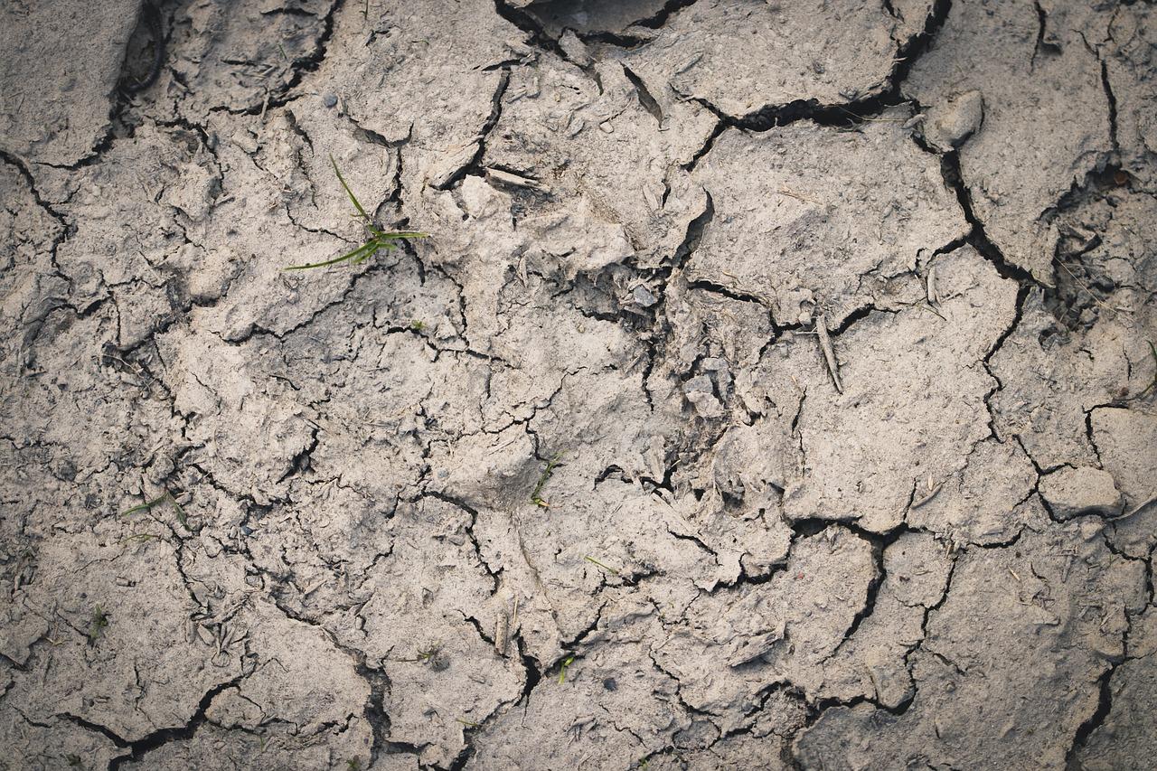 4. 交通出行便利