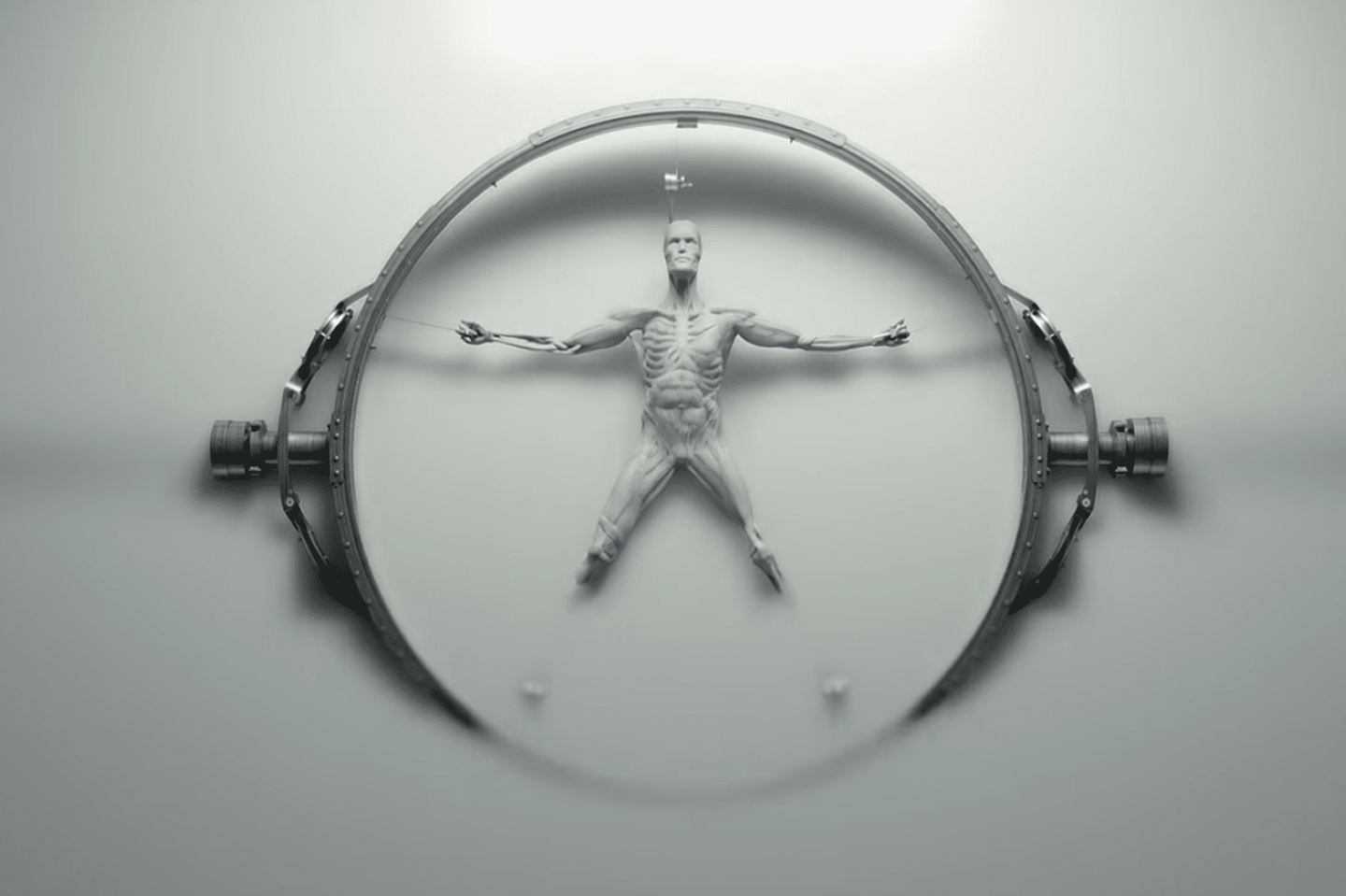 智能的未来：从模因演化到机器终将“觉醒”