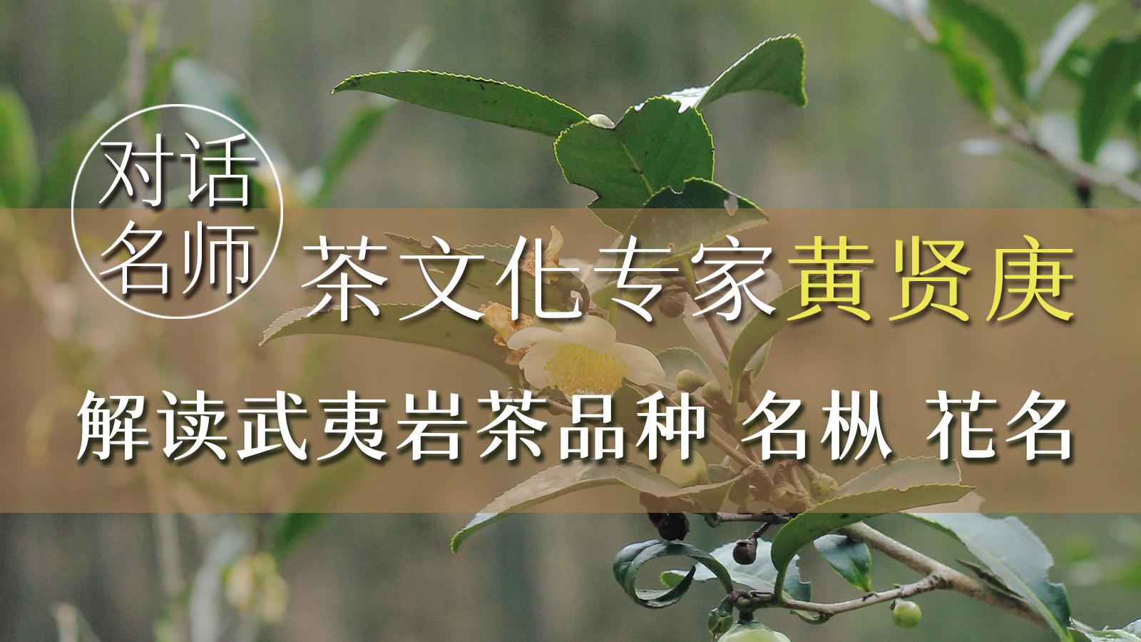 武夷岩茶的品种有哪些