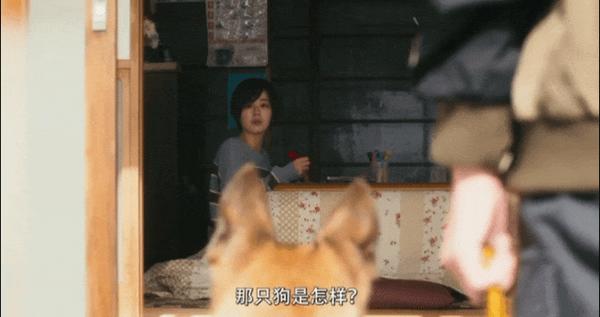 《少年与犬》好厉害！狗狗电影竟然拍出了苦难人间