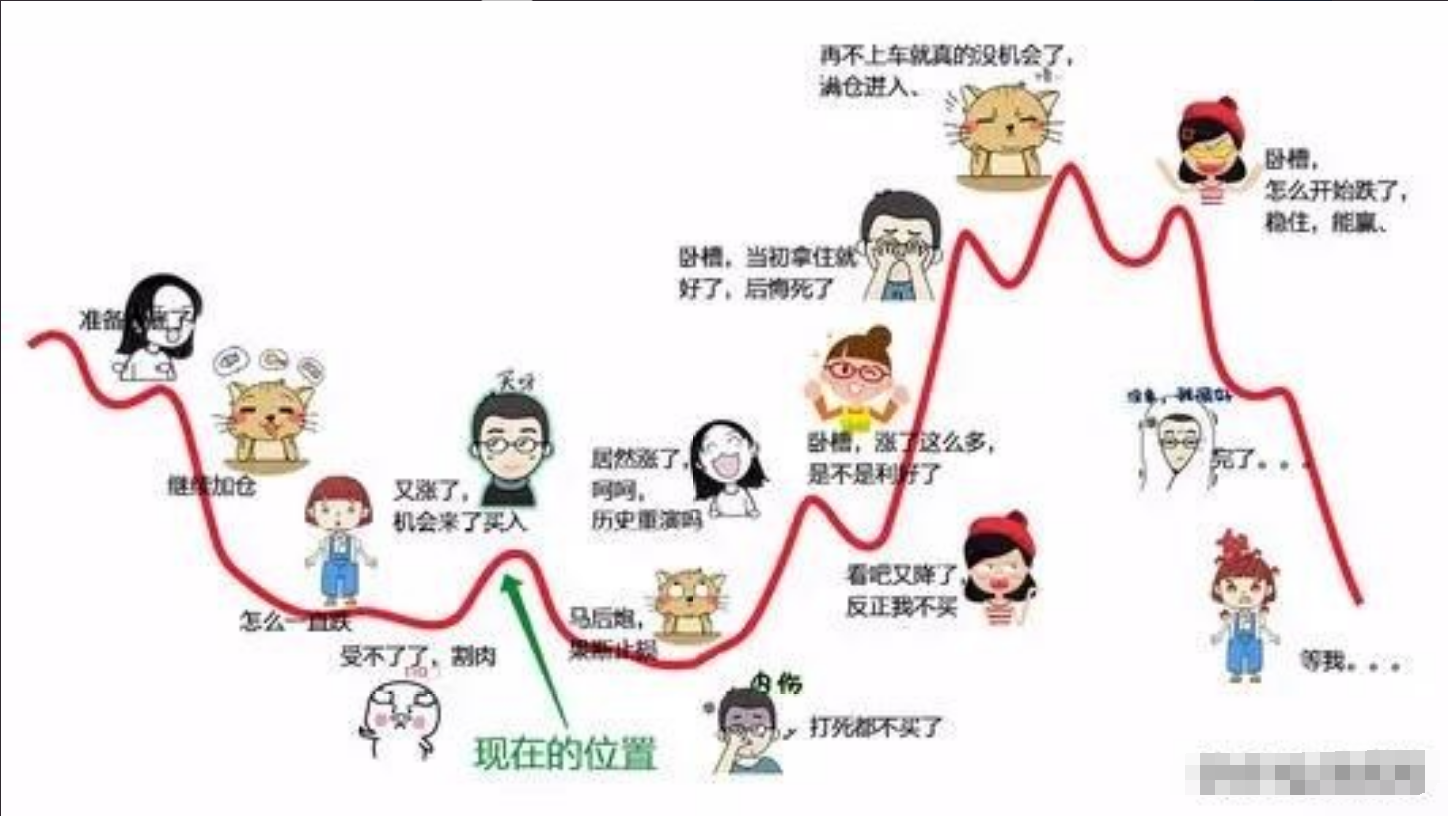 股票散户心理是什么样的