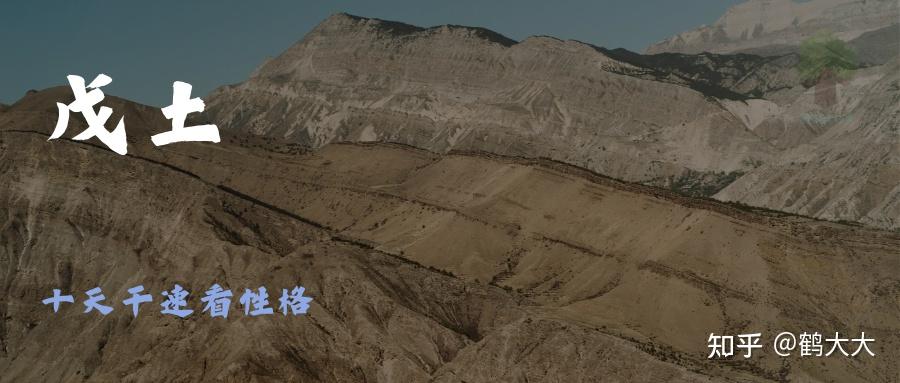 戊土:我和我最后的倔强 - 知乎