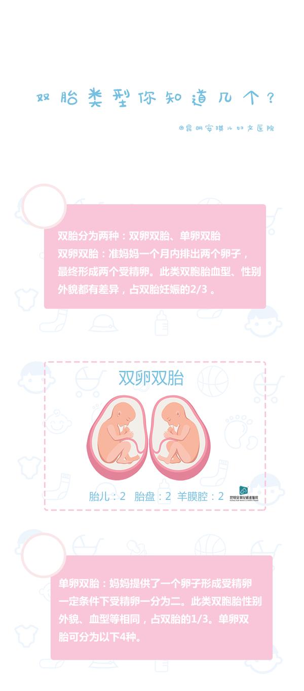 双胞胎有这几种类型,你知道几个? - 知乎