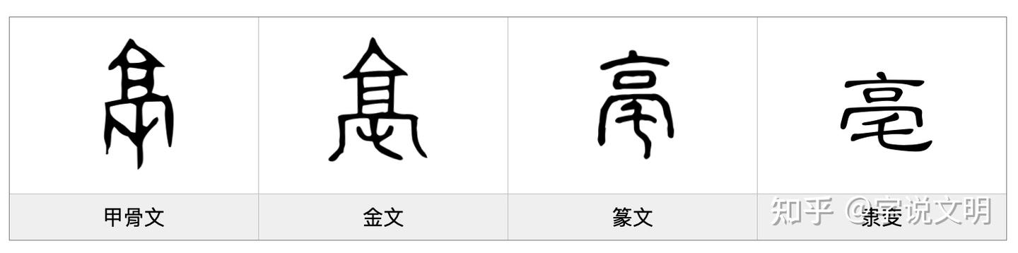 亳——每日一字·亠部字 - 知乎