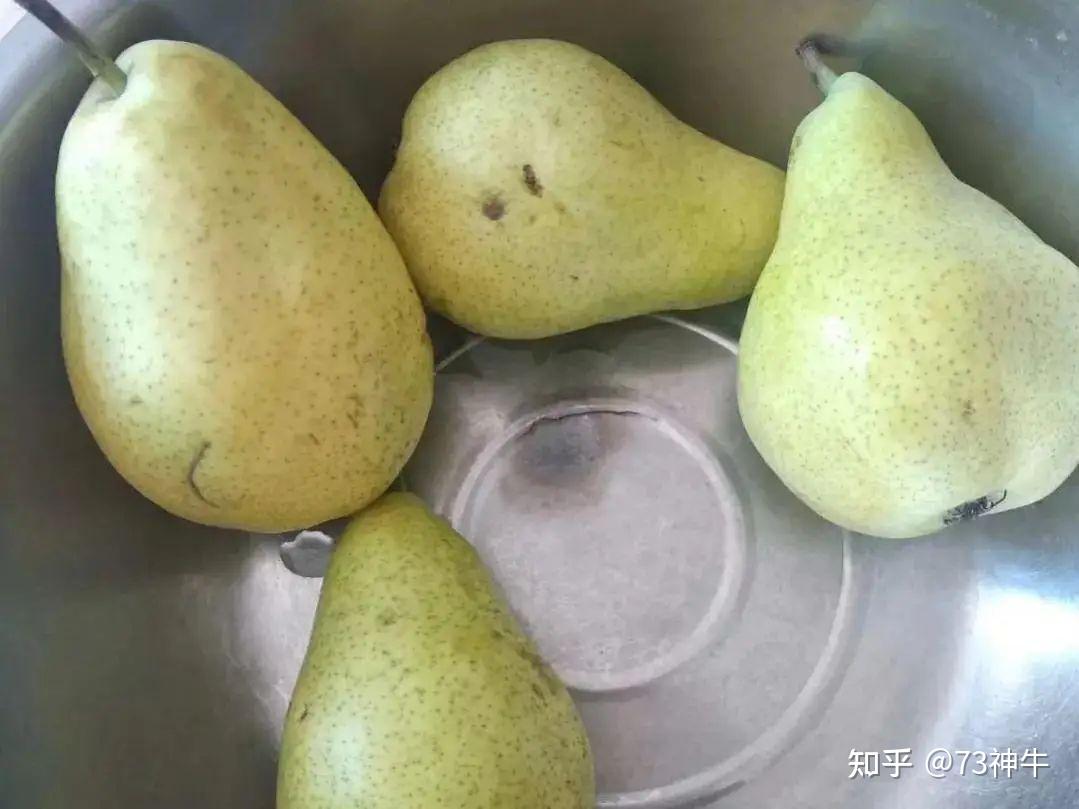 中国有名的“10大名梨”,你吃过几种?有没有你家乡的梨上榜 - 知乎