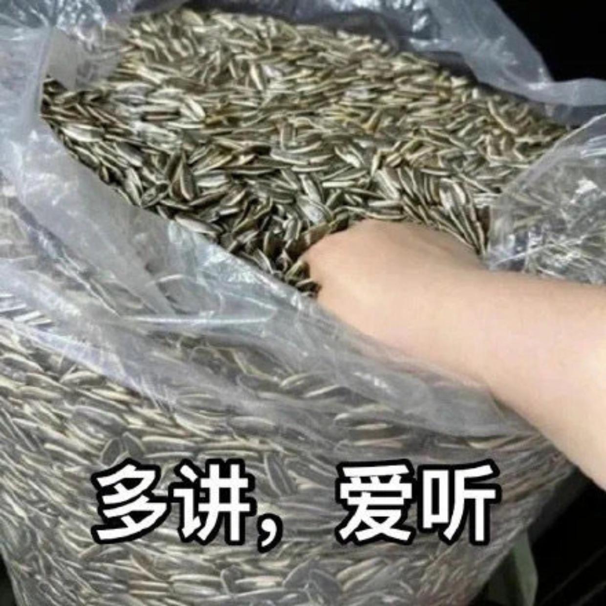 有没有一个万能表情包可以回复所有问题