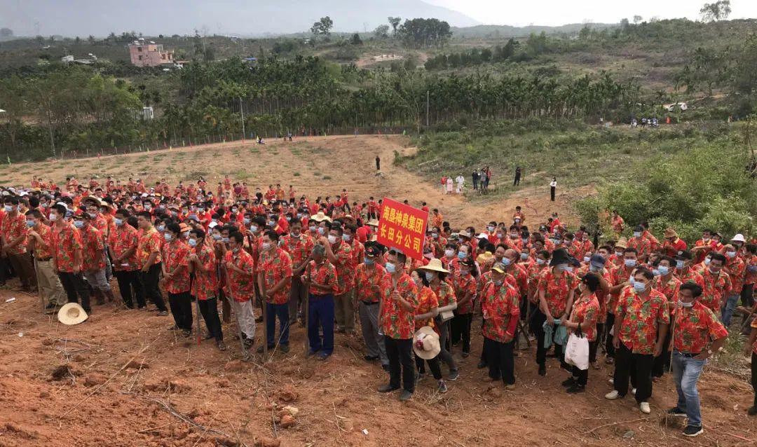 上纲上线,乱扣帽子对吗?我觉得得理性看