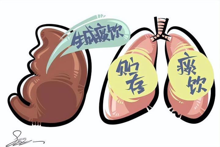 痰在哪,病在哪!中医教你中药煮水,化解全身上下,五脏六腑之痰 - 知乎