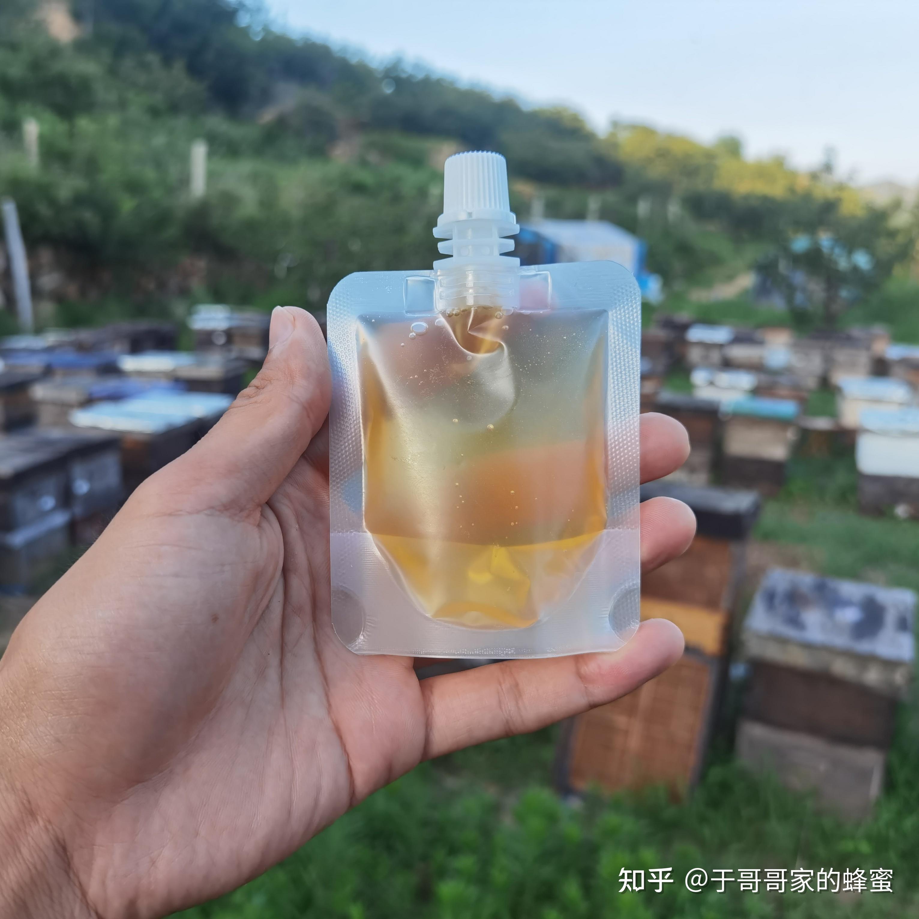 自养蜂蜜保质期(家养蜂蜜保质期)
