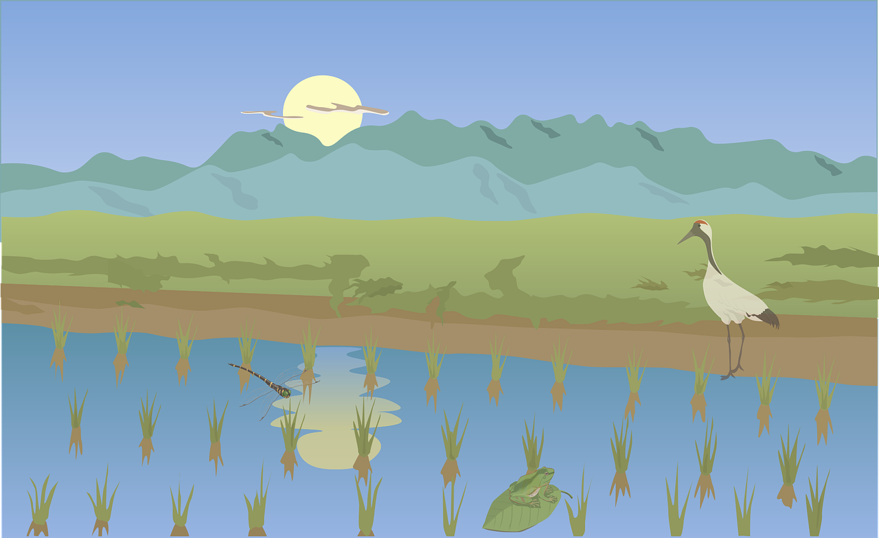 4. 产业园区用地