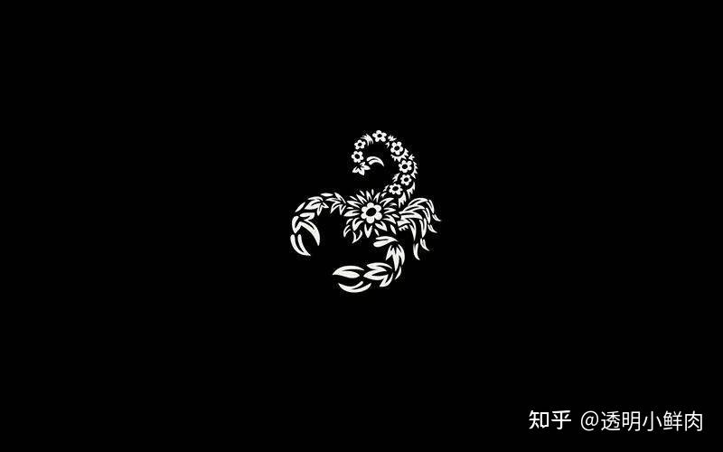 小米11ultra的背屏有什么好玩的图片求分享