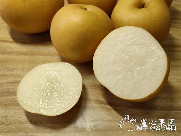 秋月梨是什么品种? - 知乎
