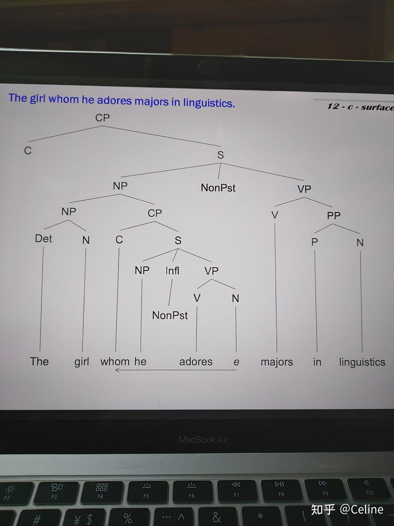 语言学树状图分析图片