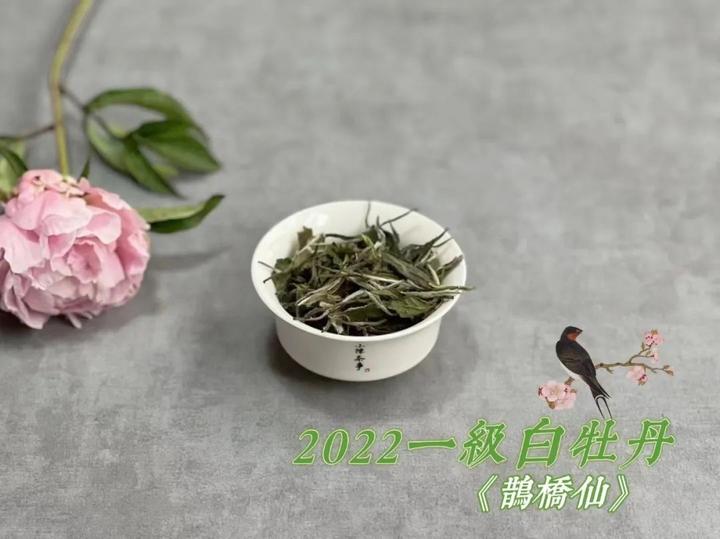 闻香识白茶，白牡丹压饼后存3年，“主打香”是花香还是药香？ - 知乎