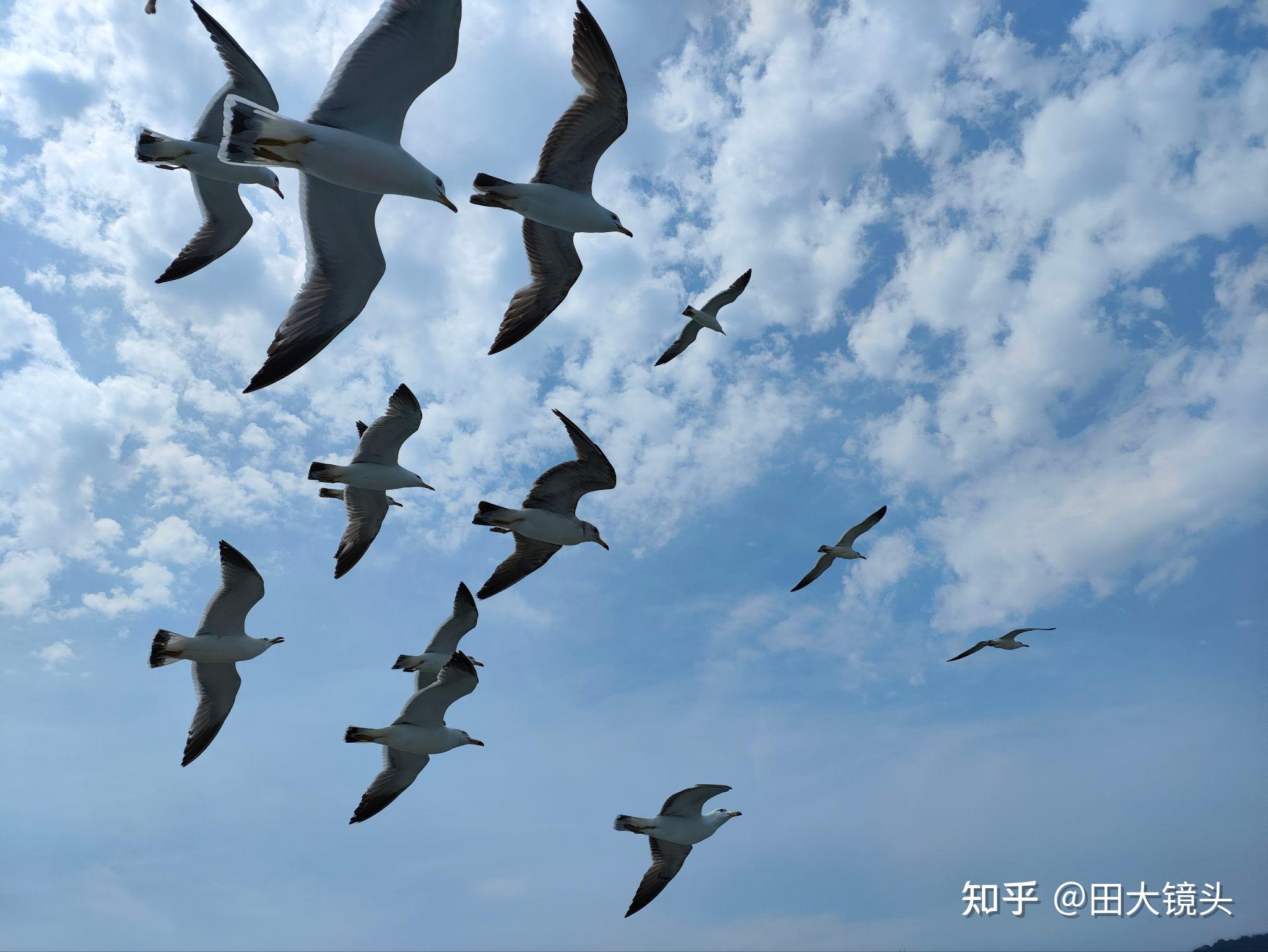 烟台,青岛,威海旅游的话,推荐哪个? - 知乎