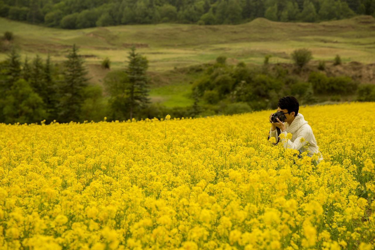 青海玉树州房价多少