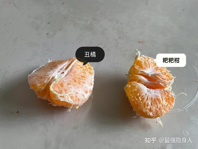 丑橘粑粑柑感觉长得很像它们到底有什么不同